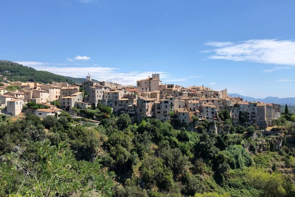 Appartement Au Calme Dans Un Espace Arbore Tourrettes-sur-Loup Exterior photo